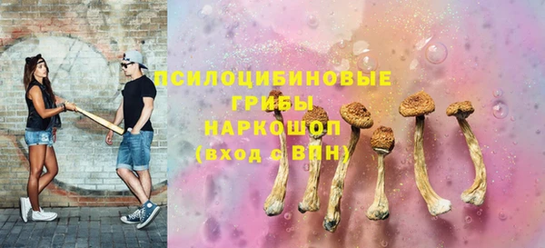 Альфа ПВП Алзамай