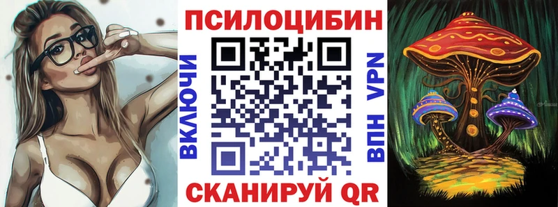 Псилоцибиновые грибы Psilocybe  Катав-Ивановск 